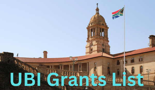 UBI Grants List